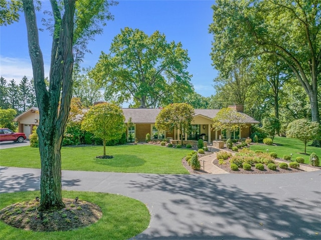 ranch-style home featuring a front lawn