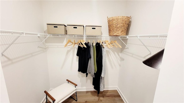 walk in closet featuring wood-type flooring