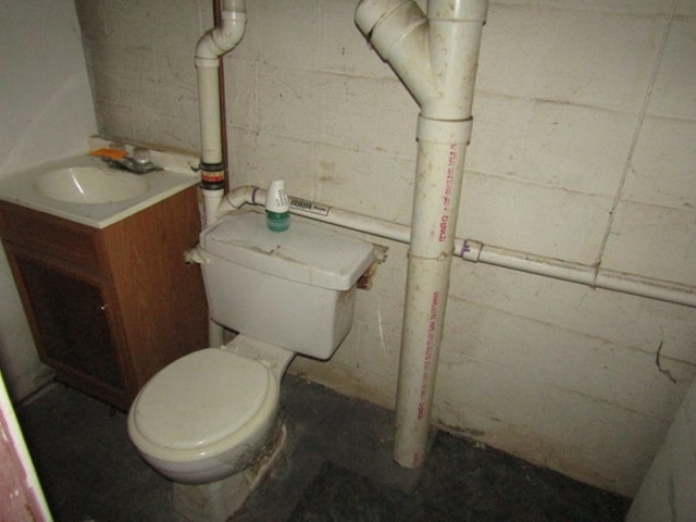 bathroom with toilet and vanity