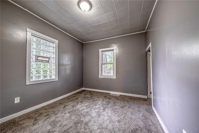 carpeted spare room with a wealth of natural light