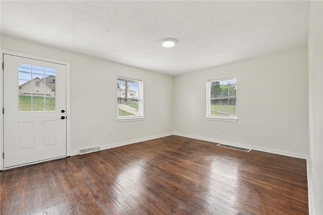 foyer featuring dark wood-type flooring and plenty of natural light