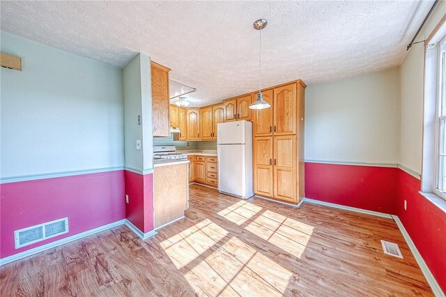 kitchen with white appliances, a healthy amount of sunlight, decorative light fixtures, and light hardwood / wood-style floors