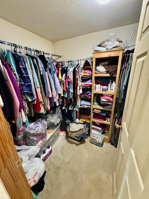 walk in closet with carpet flooring