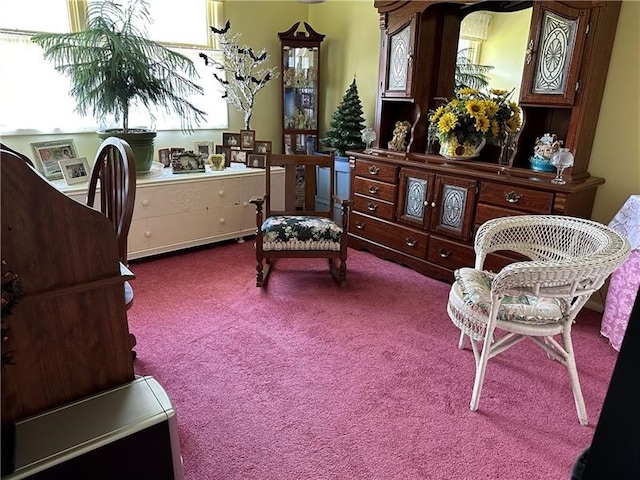 living area with carpet floors