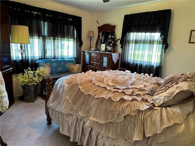 bedroom with carpet and multiple windows