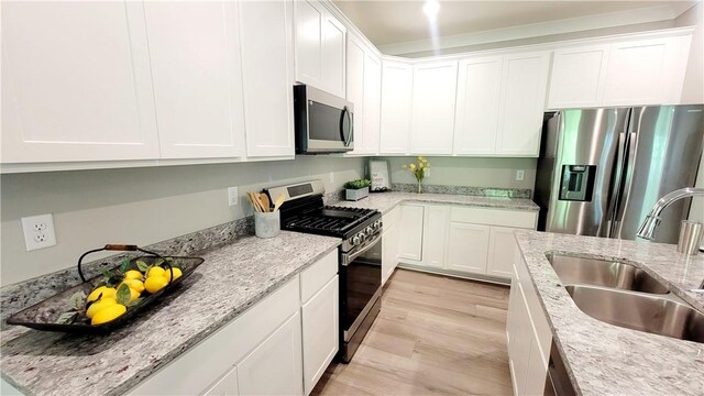 kitchen featuring sink, light hardwood / wood-style floors, light stone countertops, and stainless steel appliances