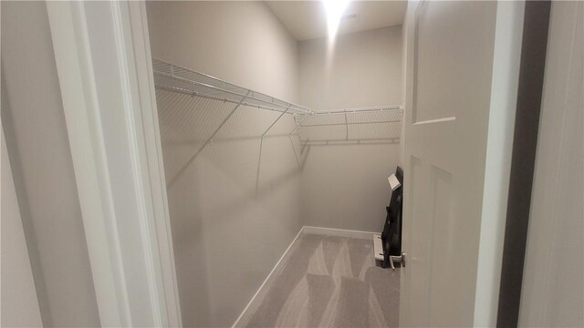 spacious closet featuring carpet floors