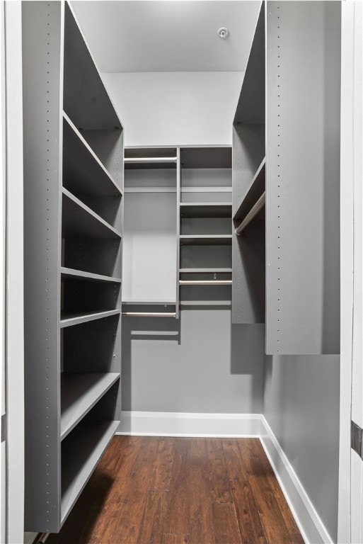 walk in closet featuring dark hardwood / wood-style flooring