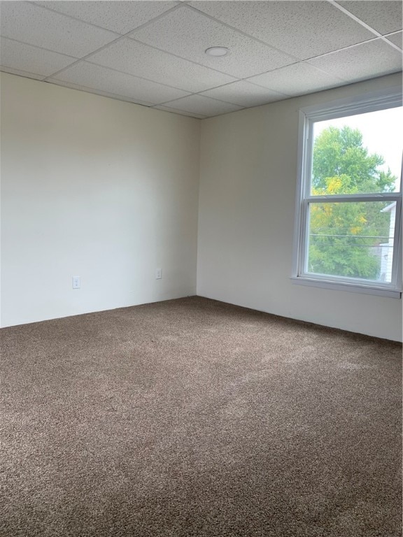 carpeted spare room with a paneled ceiling