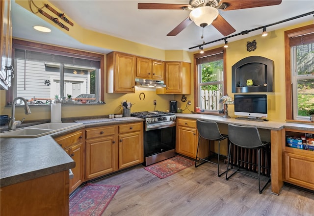 kitchen with a wealth of natural light, light hardwood / wood-style flooring, sink, and stainless steel gas range