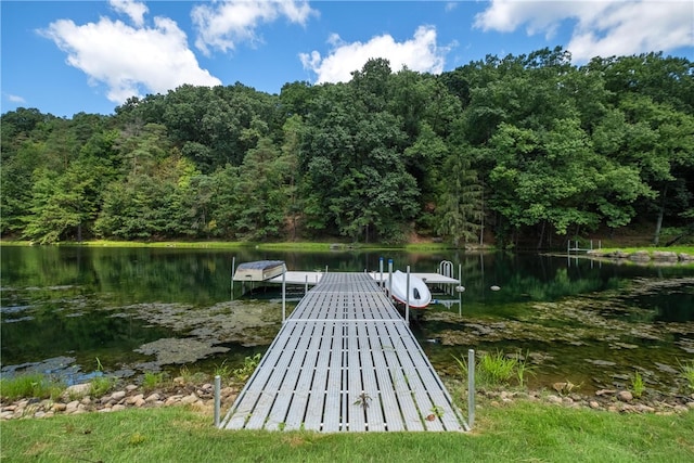 dock area featuring a water view