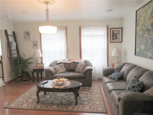 living room featuring hardwood / wood-style flooring