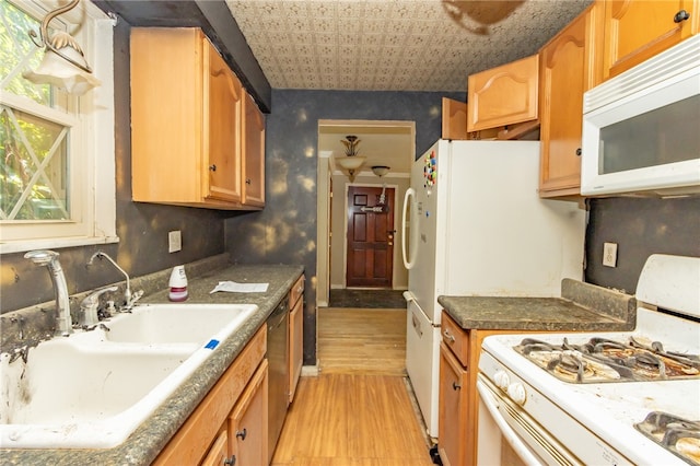 kitchen with light hardwood / wood-style flooring, sink, plenty of natural light, and white appliances