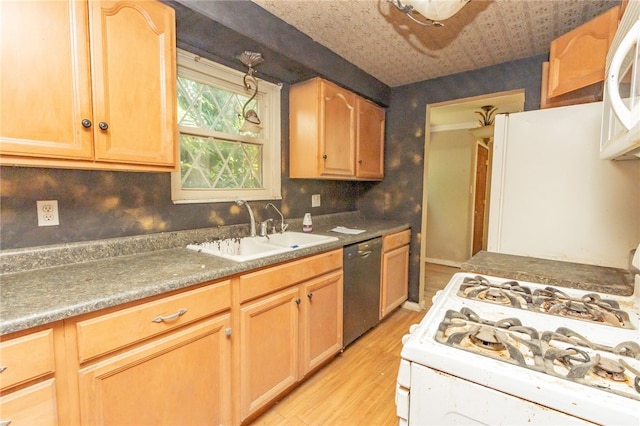 kitchen featuring dishwasher, light hardwood / wood-style floors, sink, range, and light brown cabinets