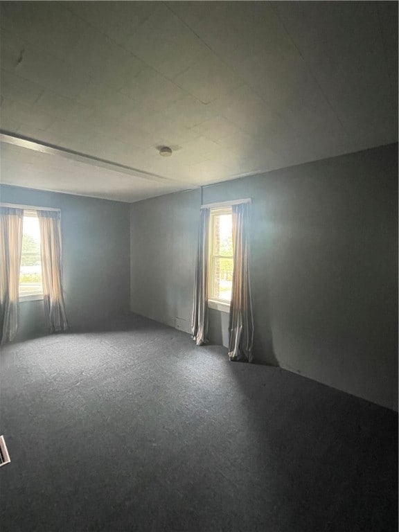 carpeted spare room featuring a wealth of natural light