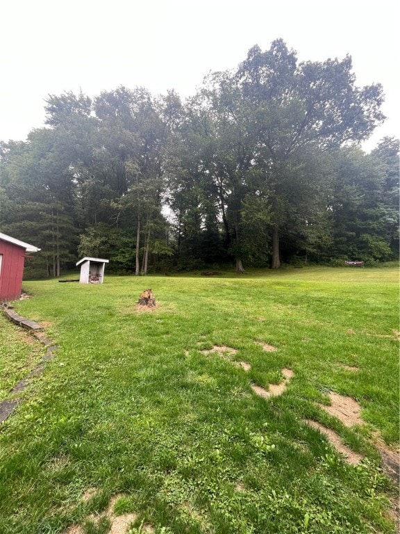 view of yard featuring a storage unit