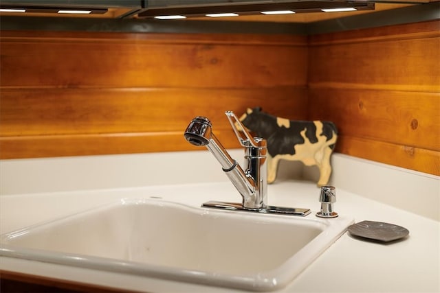 details with wood walls and sink