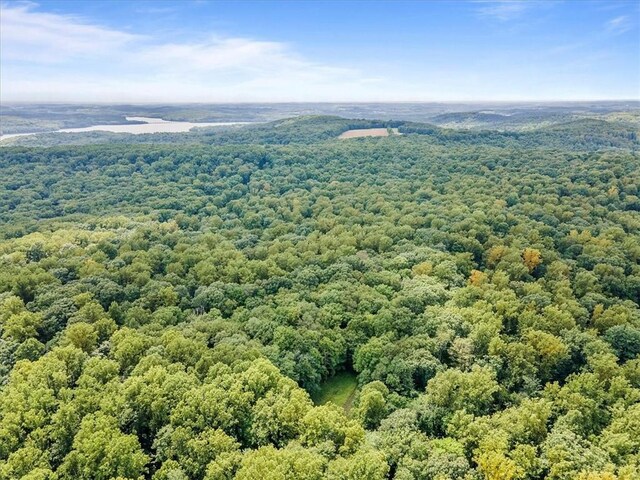 00 Alexander Rd, Brady Twp But, PA 16057 - aerial view of a forest
