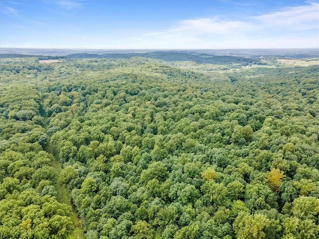 00 Alexander Rd, Brady Twp But, PA 16057 - drone / aerial view of a forest