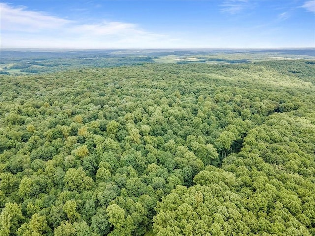00 Alexander Rd, Brady Twp But, PA 16057 - aerial view of a heavily wooded area