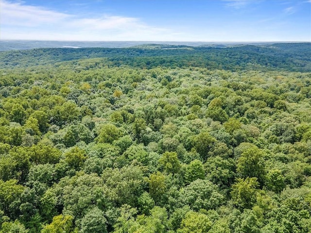 00 Alexander Rd, Brady Twp But, PA 16057 - drone / aerial view of a forest
