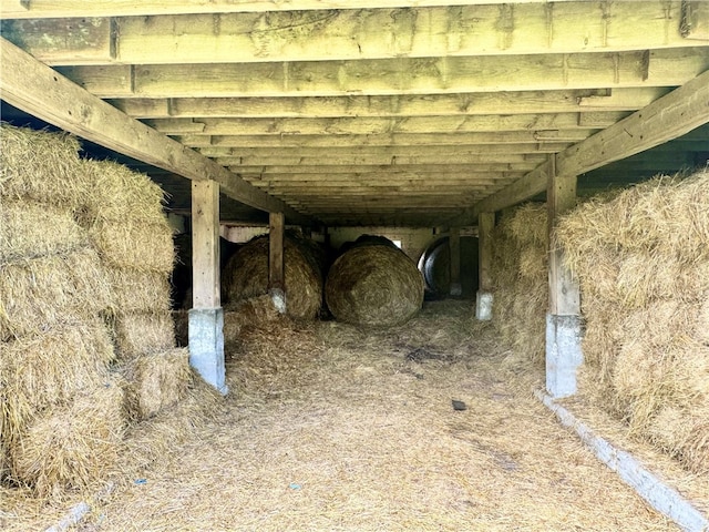 view of horse barn