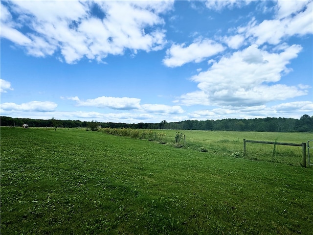 view of yard featuring a rural view