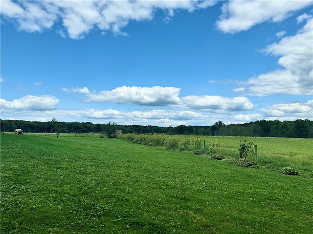 view of nature featuring a rural view