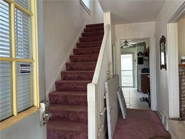 stairway with carpet flooring and a ceiling fan