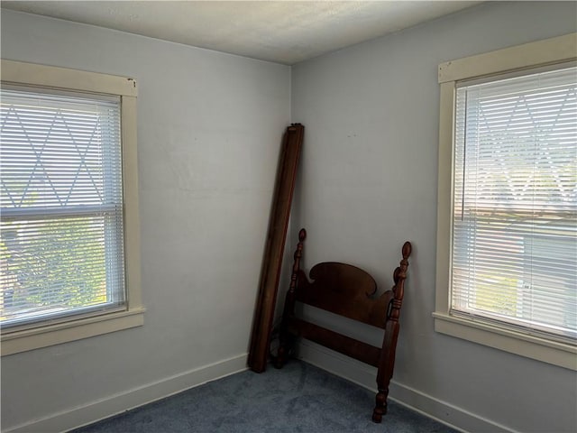 bedroom featuring baseboards, multiple windows, and carpet flooring