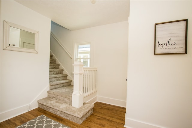 staircase with wood-type flooring