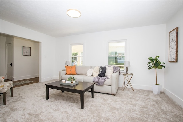 carpeted living room with plenty of natural light