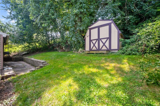 view of yard featuring a storage shed