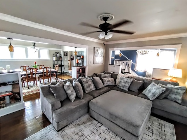 living room with ceiling fan, a wealth of natural light, wood-type flooring, and ornamental molding