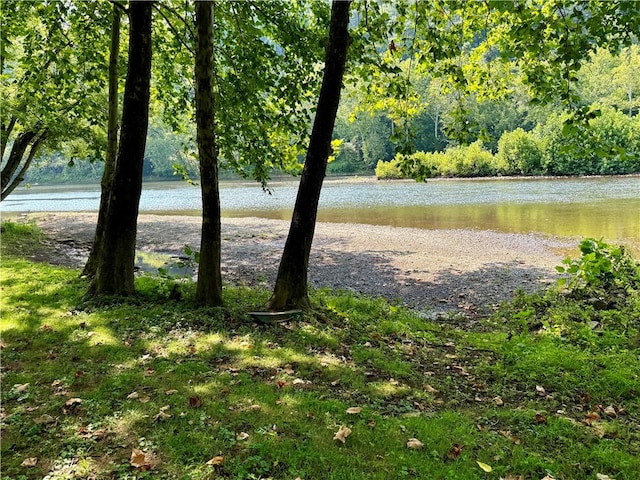 1210 Wysocki Ave 1206, 1207, North Apollo, PA 15673 - water view