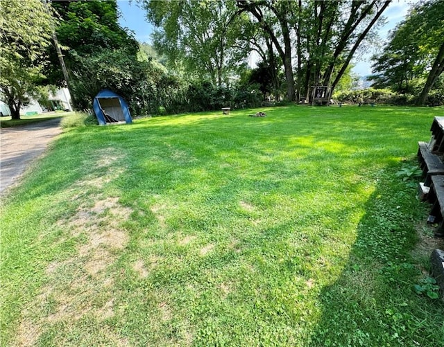 1210 Wysocki Ave 1206, 1207, North Apollo, PA 15673 - view of green lawn with a storage shed