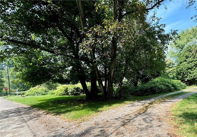1210 Wysocki Ave 1206, 1207, North Apollo, PA 15673 - view of road