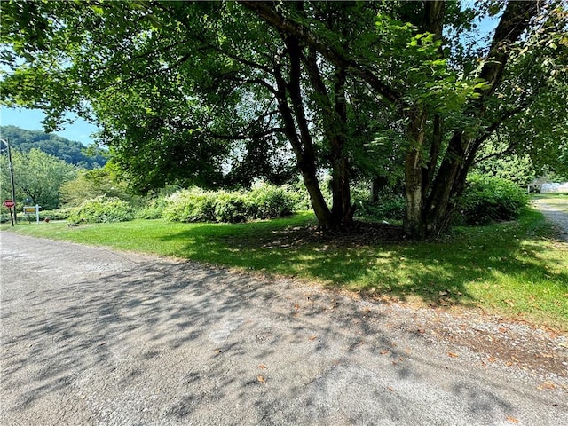 1210 Wysocki Ave 1206, 1207, North Apollo, PA 15673 - view of asphalt street