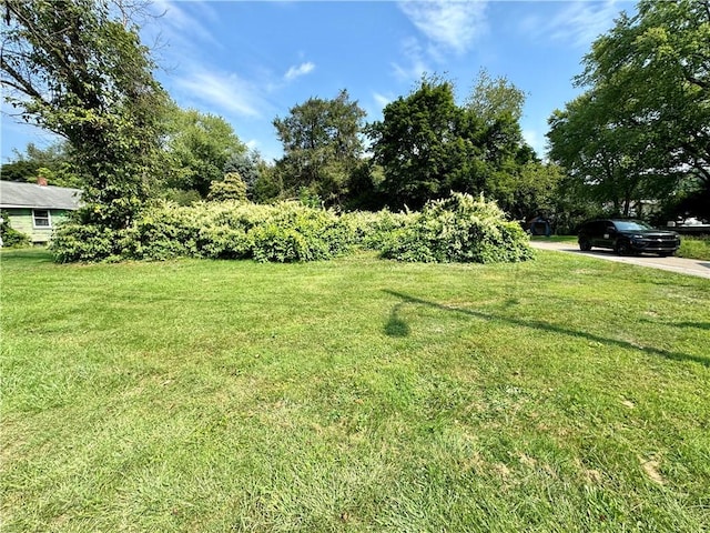 1210 Wysocki Ave 1206, 1207, North Apollo, PA 15673 - view of green lawn featuring driveway