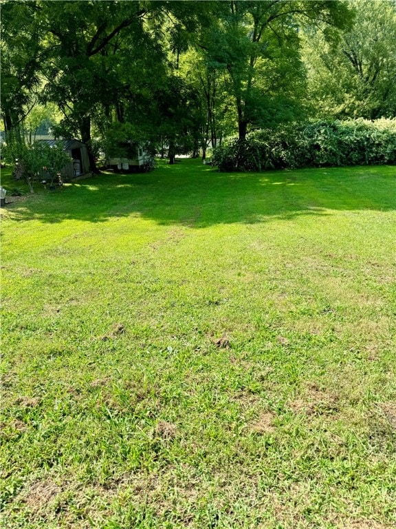 view of yard featuring a storage unit