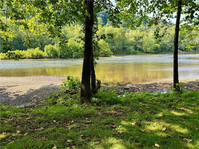 1210 Wysocki Ave 1206, 1207, North Apollo, PA 15673 - water view featuring a forest
