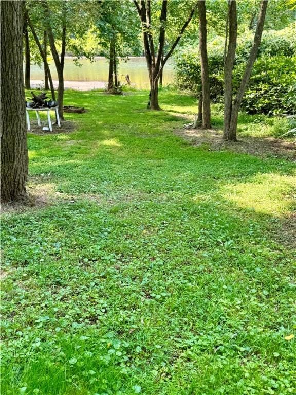 1210 Wysocki Ave 1206, 1207, North Apollo, PA 15673 - view of grassy yard