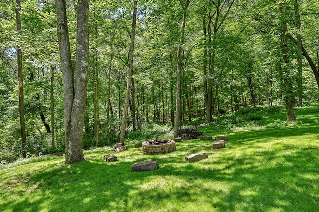 view of yard with a fire pit