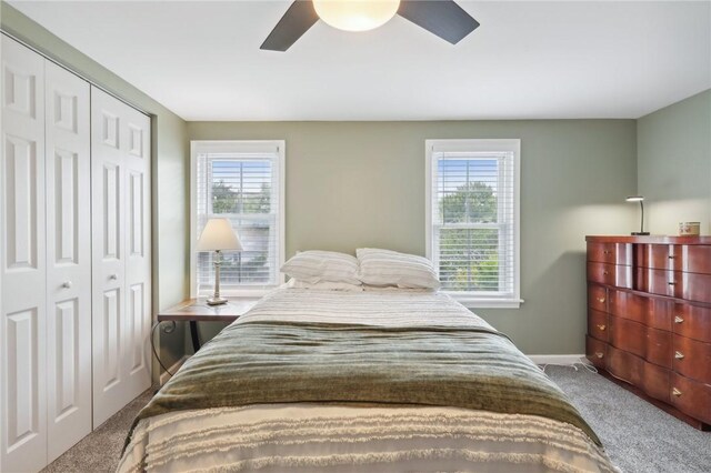 carpeted bedroom featuring a closet, ceiling fan, and multiple windows