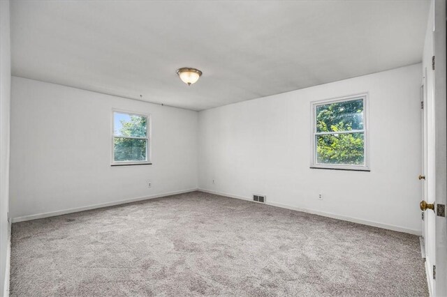 unfurnished room featuring carpet and a healthy amount of sunlight