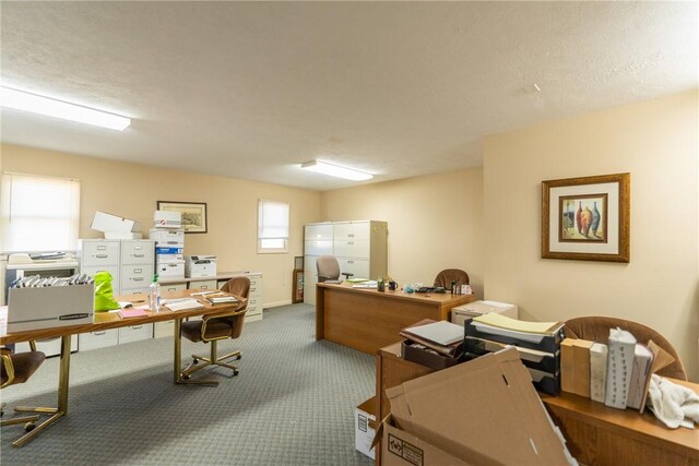 carpeted office with a textured ceiling