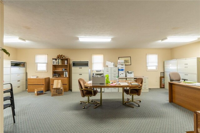 office space with a textured ceiling and carpet flooring