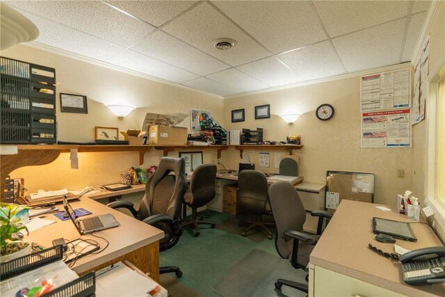 carpeted home office with crown molding and a paneled ceiling