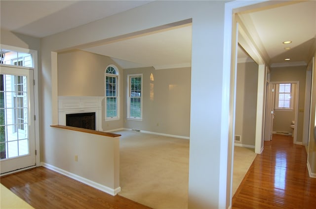 interior space featuring crown molding and light hardwood / wood-style floors