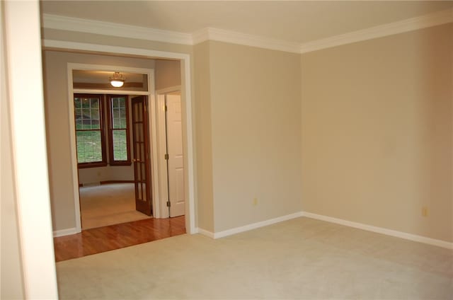 carpeted empty room with crown molding